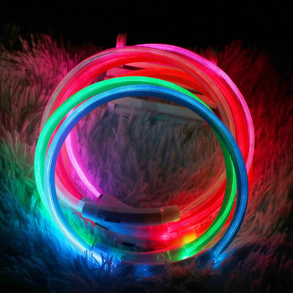 LED Dog Collar - Rechargeable & Luminous Safety Light