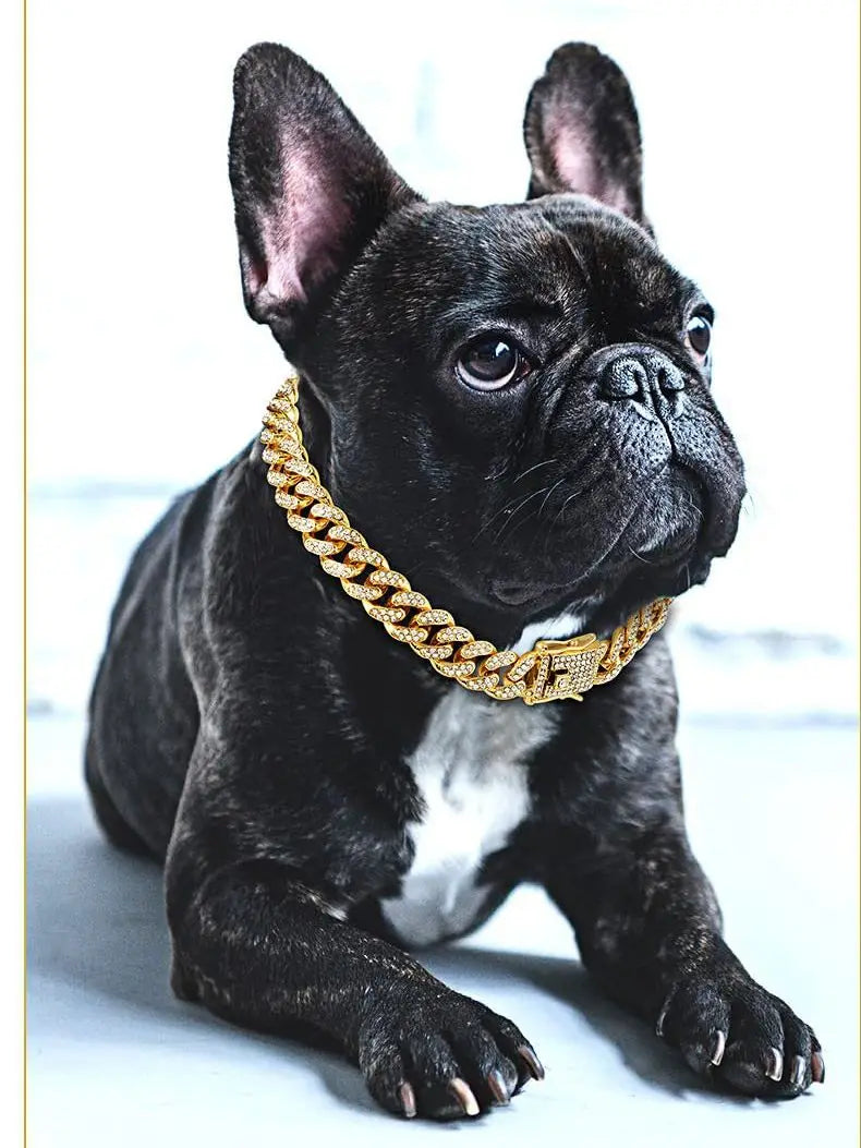 Luxury Diamond Cuban Dog Chain Collar – Metal Walking Collar with Secure Buckle for Dogs and Cats