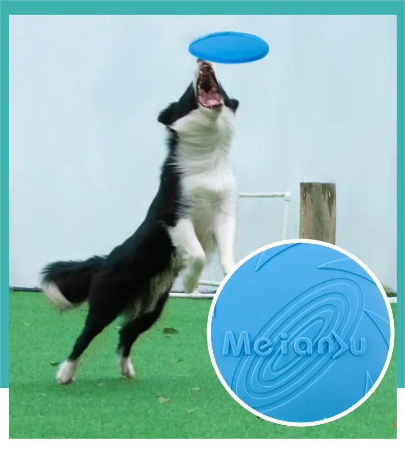 Durable Bite-Resistant Dog Flying Disc – Outdoor Training & Interactive Toy